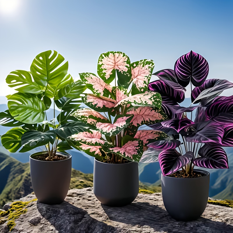 Conjunto de 3 Plantas Artifici - Fiddle Leaf Fig avaliação e preço