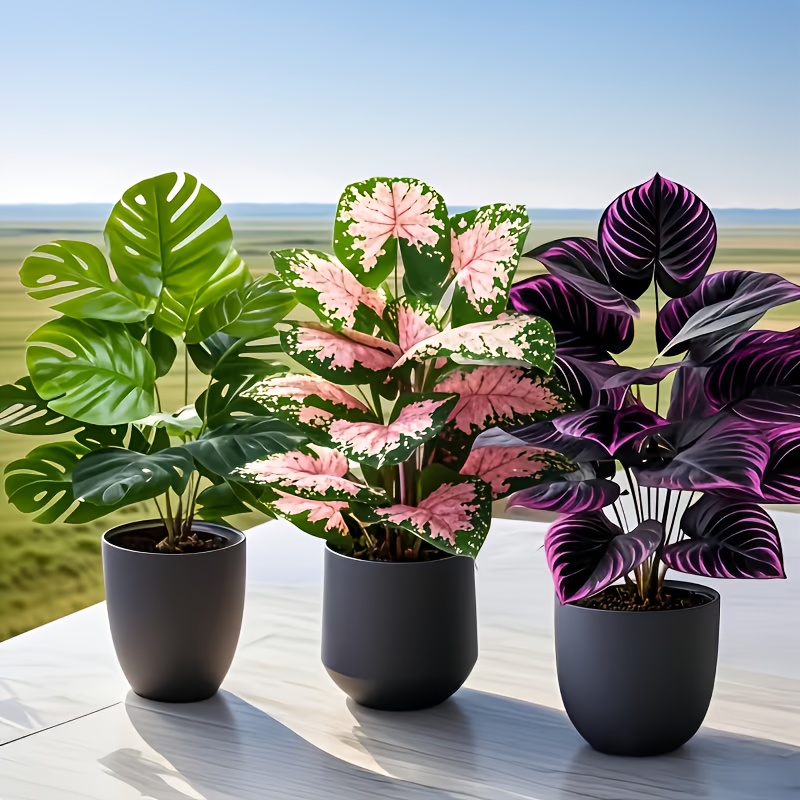 Conjunto de 3 Plantas Artifici - Fiddle Leaf Fig avaliação e preço