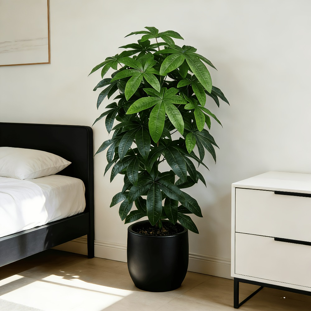 Árvore do Dinheiro Artificial  - Fiddle Leaf Fig avaliação e preço